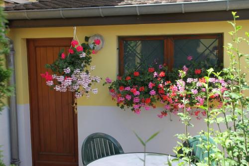 Appartement ALSACE Gîte jardin garage prox Colmar Eguisheim Rt vins 29 Rue Martin Drolling Oberhergheim