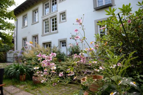 B&B / Chambre d'hôtes Alte Apotheke Bed & Breakfast Ettlinger Str. 20 Karlsbad