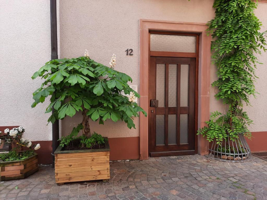 Appartement Alte Bahnhofstraße 12 Alte Bahnhofstraße 12, 97753 Karlstadt