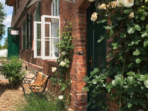 Appartement Alte Küsterei Hohen Mistorf An der Kirche 1 Hohen Mistorf