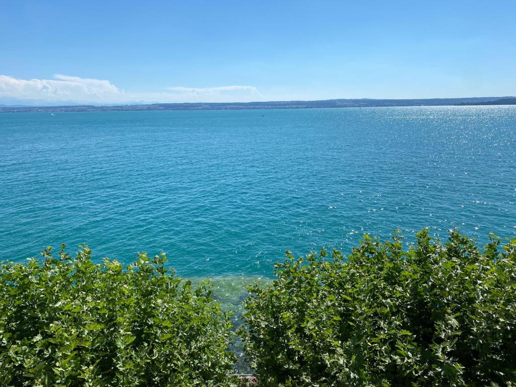 Appartement Alte Molke Apartment 9 Seepromenade 6, 88709 Meersburg