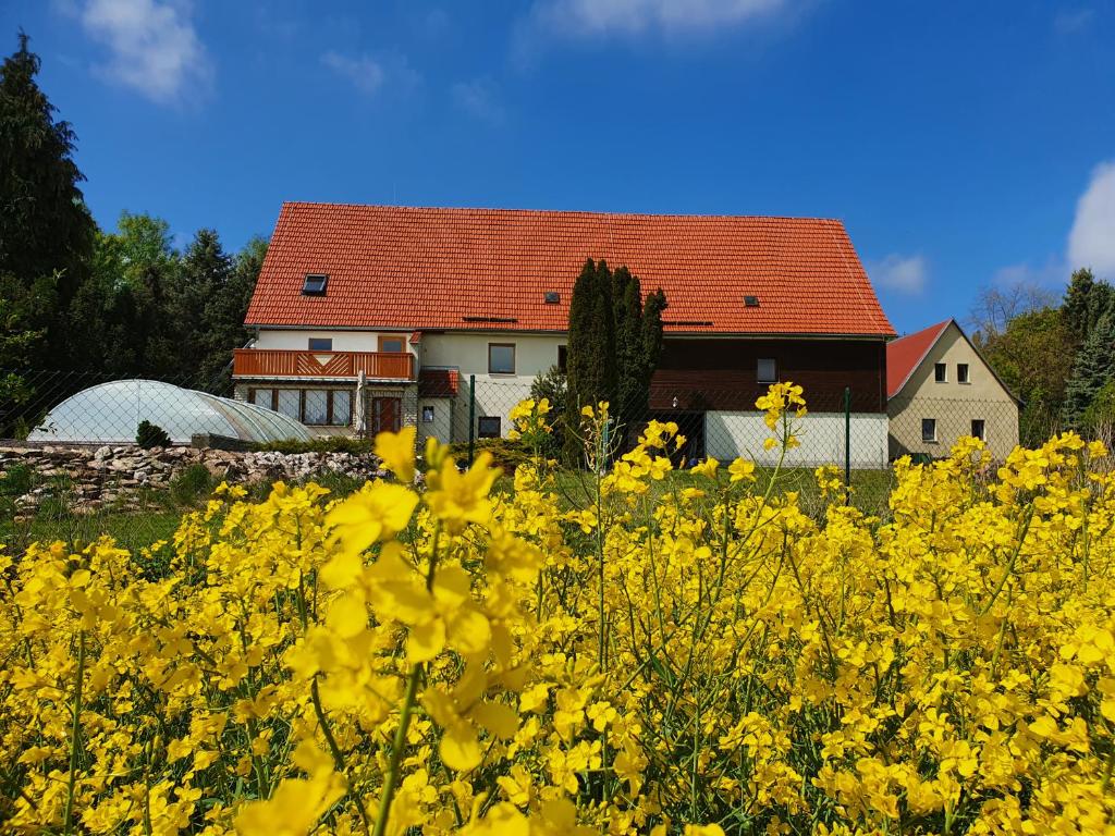 Maison de vacances Alte Schäferei Bad Gottleuba 7 Thomas-Müntzer-Straße, 01816 Bad Gottleuba-Berggießhübel