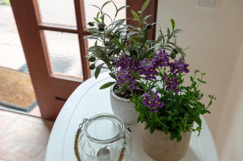Appartement Alte Schule unter Reet- Klassenzimmer 35 Koogstraße Tümlauer Koog