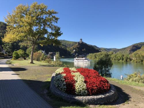 Hôtel Altes Winzerhaus Sehler Anlagen 15 Cochem