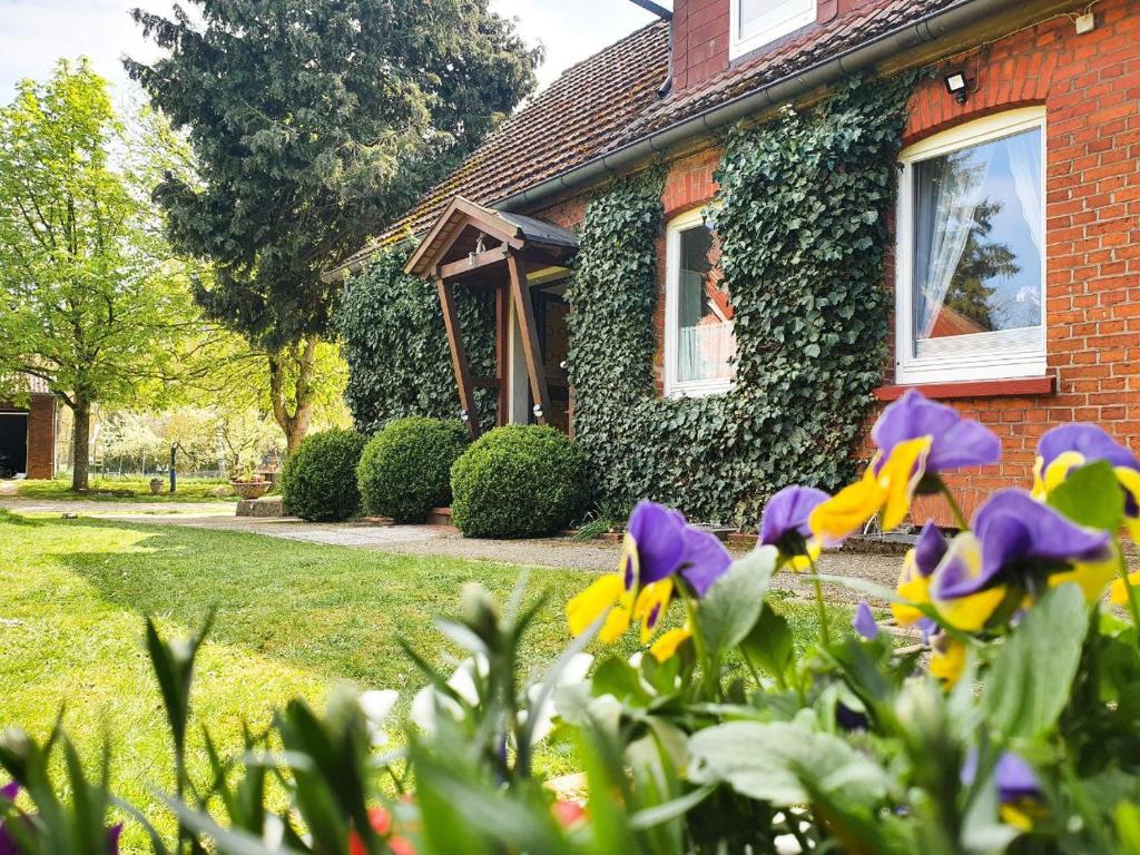 Appartement Am Alten Haus 8 Bostelwiebeck, 29575 Altenmedingen
