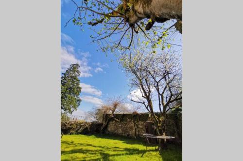 Appartement AMALOUYSE Studio de charme au cœur des châteaux de Loire 9 Rue Abraham Courtemanche Montlouis-sur-Loire