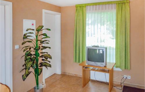 Amazing home in Eichigt-Ot Sssebach with 2 Bedrooms and Internet Eichigt allemagne