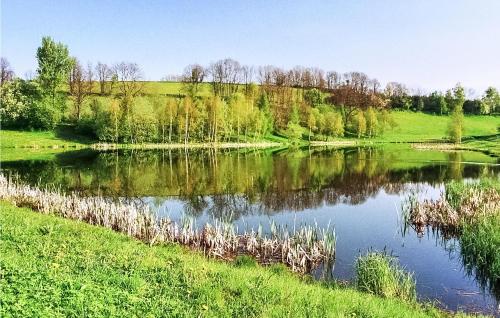 Amazing home in Olbernhau with 2 Bedrooms and WiFi Pfaffroda allemagne
