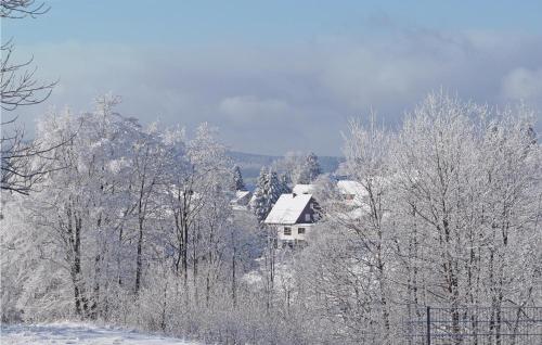 Maison de vacances Amazing home in St, Andreasberg with 1 Bedrooms, Sauna and WiFi  Sankt-Andreasberg