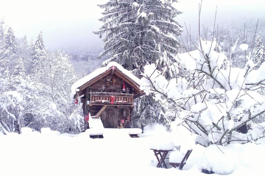 Chalet Amour & Chocolat 684 Route du Tunnel, 74740 Sixt-Fer-à-Cheval