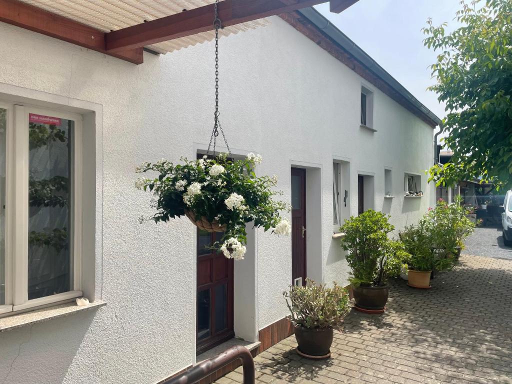 Appartement An der Bürgeheide 9A Weststraße, 03238 Finsterwalde