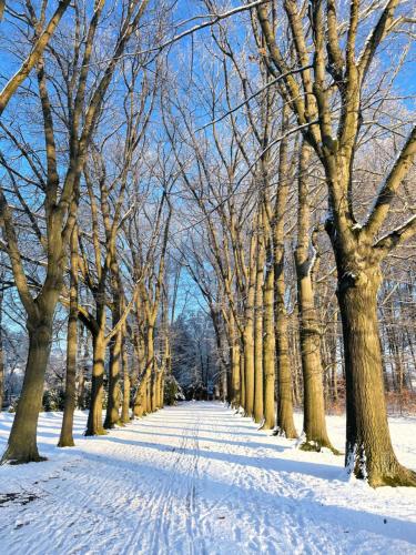 An der Bürgeheide Finsterwalde allemagne