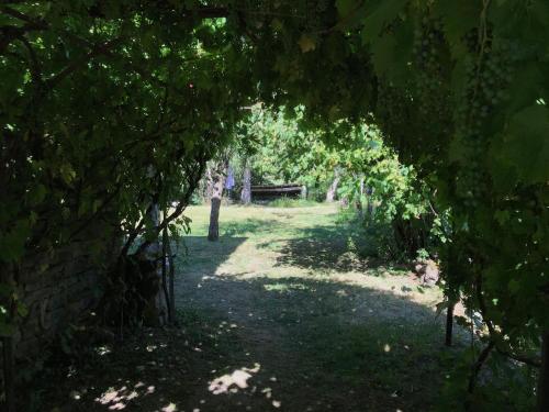 Ancienne ferme Bourguignonne en bord de rivière, grand terrain arboré, et clos Jailly-les-Moulins france