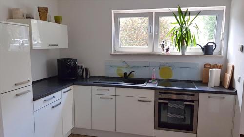 Appartement Andrés Ferienwohnung Petersilienstraße 28a Cottbus