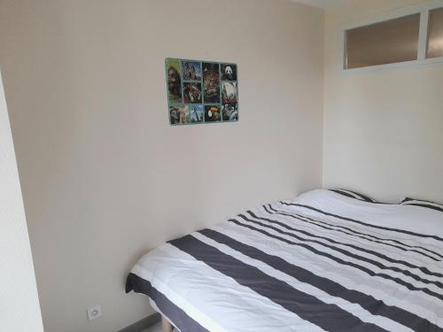 Appartement Animalier 46 Avenue Gambetta Joigny