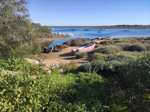 Appartement Apartamento Encantador com piscina 11 Rua Ilha da Abóbora 1ºE Tavira