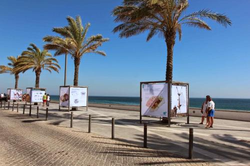 Apartamento Gaivota Sesimbra portugal