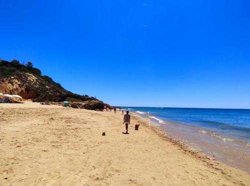 Appartement Apartamento Quinta Pedra dos Bicos. Oura.Albufeira Rua da Pedra dos Bicos 4 F Albufeira