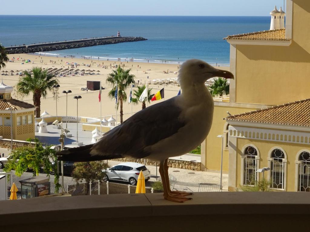 Appartement Apartamento T1 com Piscina e Vista mar - PRAIA DA ROCHA Portimão AVENIDA TOMÁS CABREIRA, EDF BARTOLOMEU DIAS NUMERO 15 - 3 ANDAR APARTAMENTO 312, 8500-802 Portimão