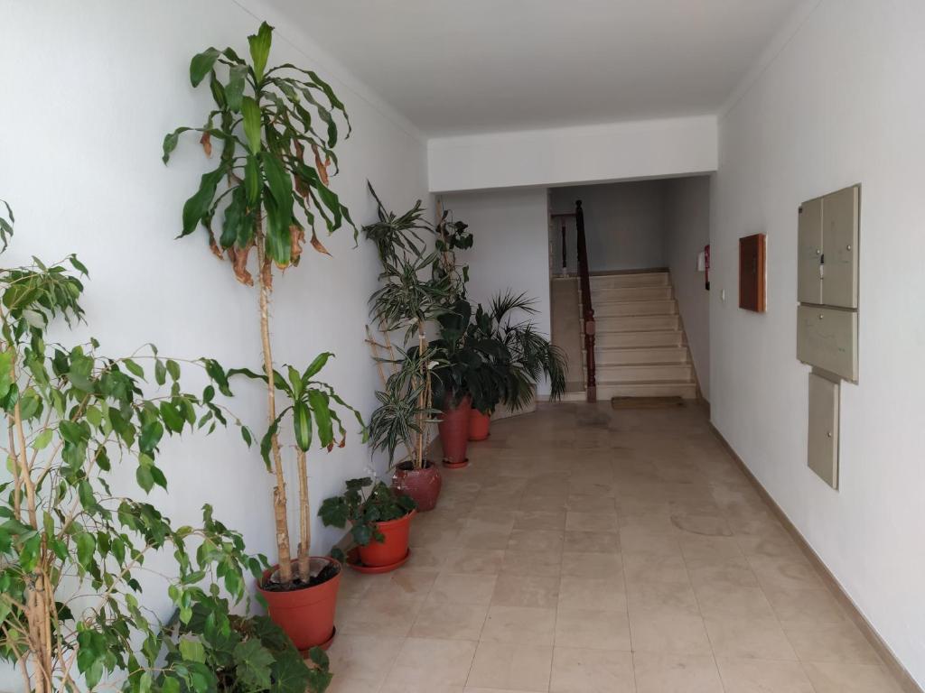 Appartement Apartamentos Bau-Doce Rua Sousa Farelo, n° 9, 7555-143 Cercal