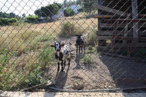 Séjour à la ferme Apartamentos Rurais - Casas do Lagar Rua da Costa, 270 Rosmaninhal