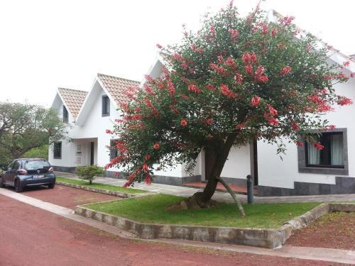 Apartamentos Turisticos Nossa Senhora Da Estrela Rosário-Lagoa portugal