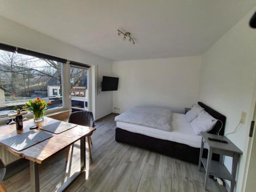 Apartement Willingen Stryck allemagne