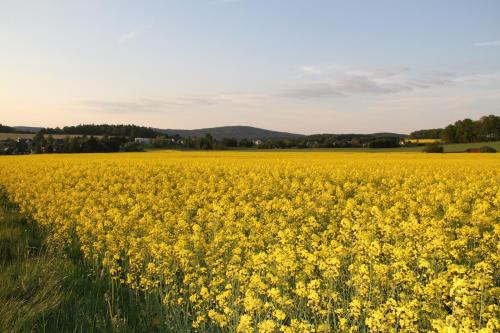Appartement Apartment am Bieleboh Ahornweg 30 Ferienwohnung Beiersdorf