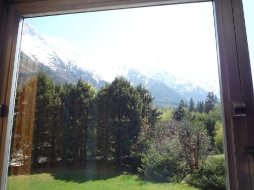 Appartement Apartment Arve 1 et 2-1  Chamonix-Mont-Blanc