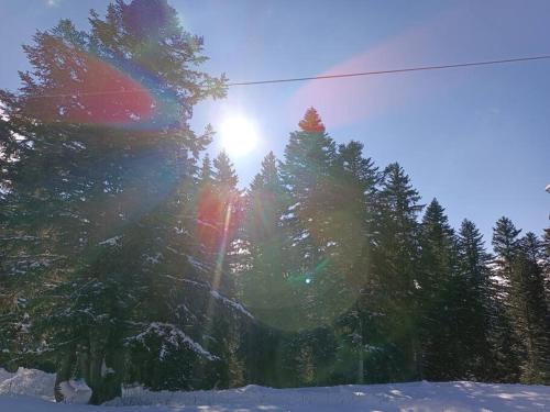 Appartement Apartment at the foot of the slopes, very bright Route de Bachat Bouloud Chamrousse