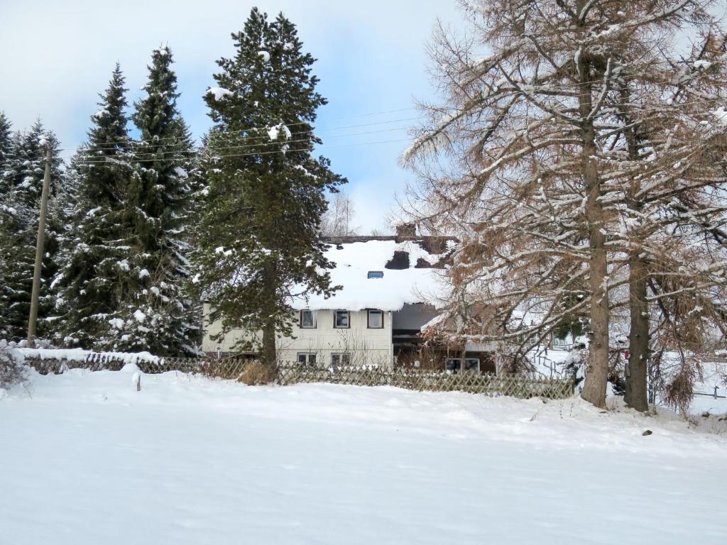 Appartement Apartment Blechnerhof-2 , 79868 Hinterfalkau