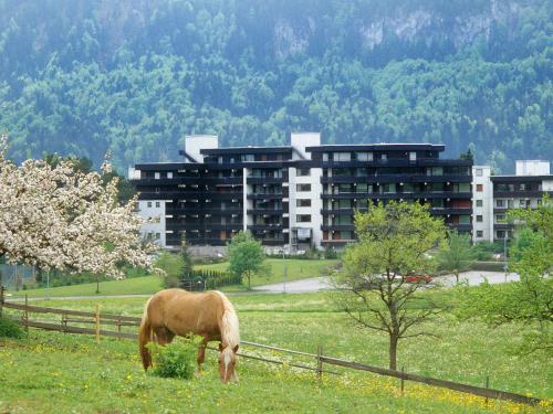 Apartment Buck Füssen allemagne