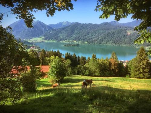 Apartment Dachjuchhe zum See - großzügig, modern und sehr zentral Schliersee allemagne