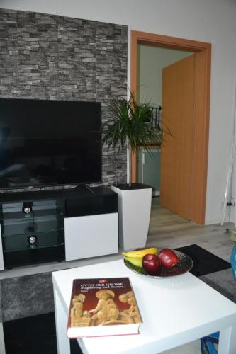 Appartement Apartment Editha Wohnung im EG Zentrumsnah 24 Heidestraße Magdebourg