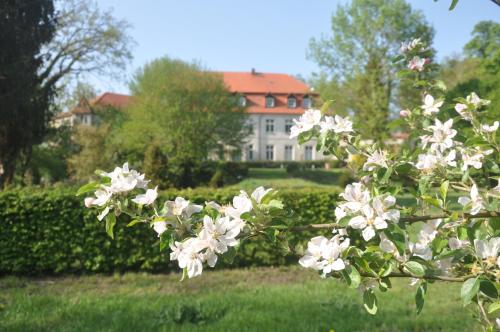 Apartment für 4 Personen im Schloss Neuhausen Berge allemagne