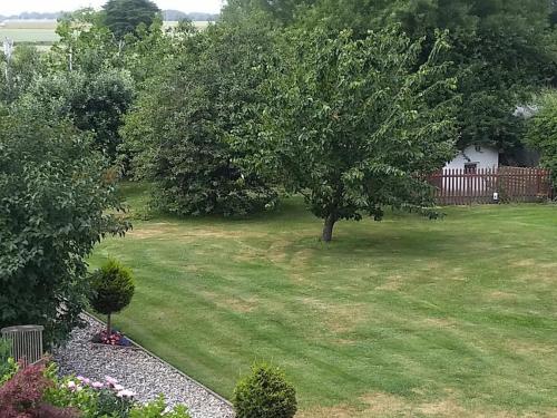 Appartement Apartment Gingst 1  Haidhof