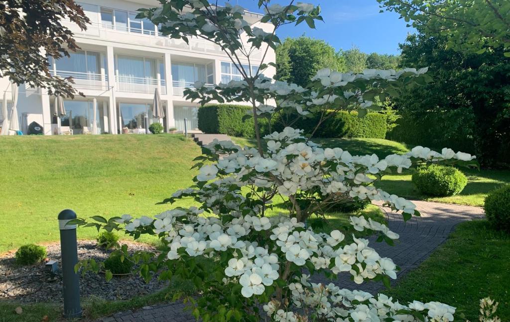 Appartement Apartment in weißer Villa im Stil der klassischen Moderne Basselscheider Straße 51, 56281 Emmelshausen