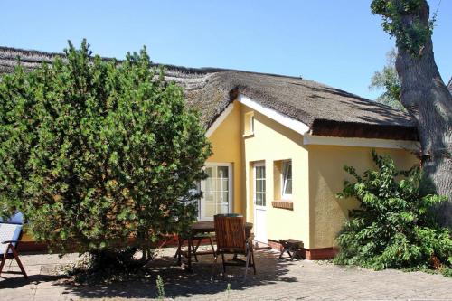 Apartment in Wieck am Darss with garden Wieck allemagne