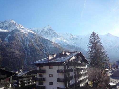 Appartement Apartment Les Aiguilles du Brévent  Chamonix-Mont-Blanc