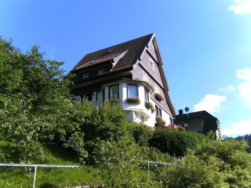 Appartement Apartment Maier-1  Triberg im Schwarzwald