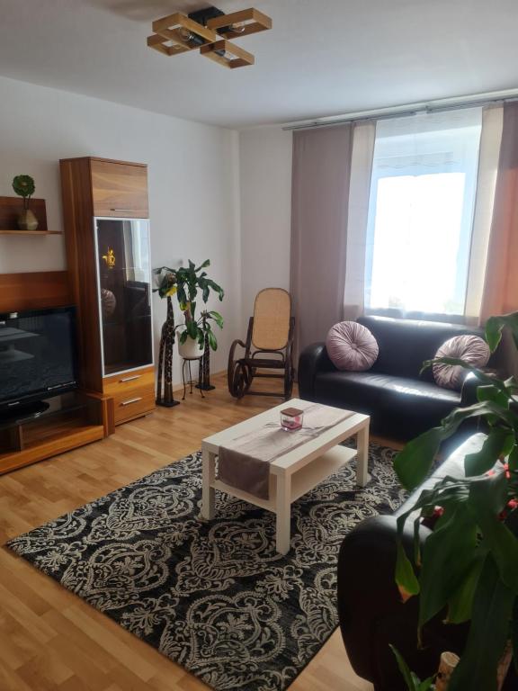 Appartement Apartment nahe Stadtzentrum, Bahnhof und Uni 6 Grüner Weg, 34117 Cassel