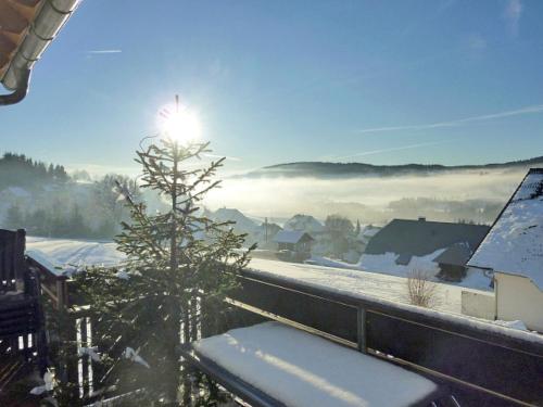 Appartement Apartment Schwarzwaldblick-4  Bernau im Schwarzwald