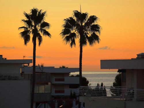 Appartement Apartment Secret Garden  Cannes