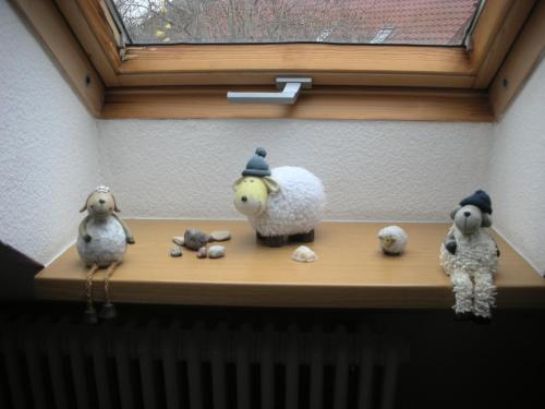 Appartement Apartment Seeadler Zum Baumberg 16 Dewichow