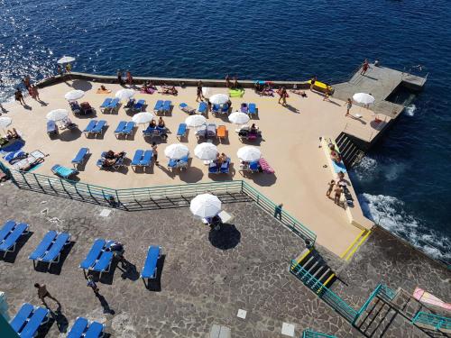 Apartment - The Historical Center of Funchal in Alojamento Local Funchal portugal