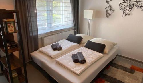 Appartement Apartment Valeri - Bonn Theodor-litt Straße 28 Endenich