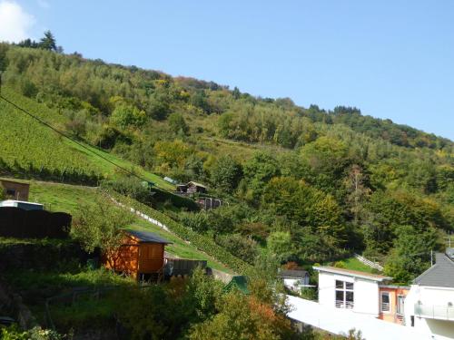 Apartment Weingut Krempel Traben-Trarbach allemagne