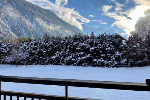 Appartement Apartment With Balcony Close To The Ski Slopes 22 Chemin les Vergniaux Chamonix-Mont-Blanc