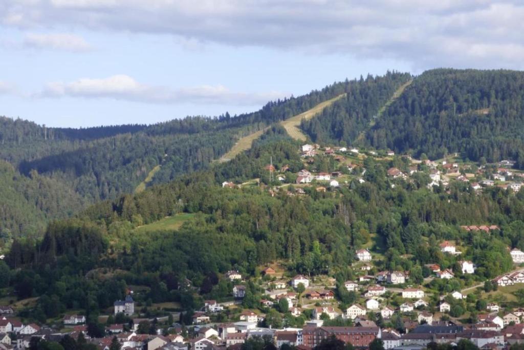 Appartement Apartment With Balcony In Gérardmer 148 Chemin de la Pépinière, 88400 Gérardmer