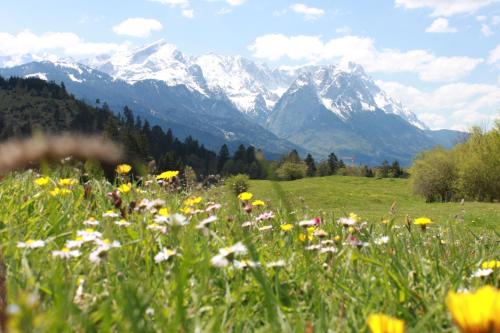 Apartment Zugspitz Farchant allemagne